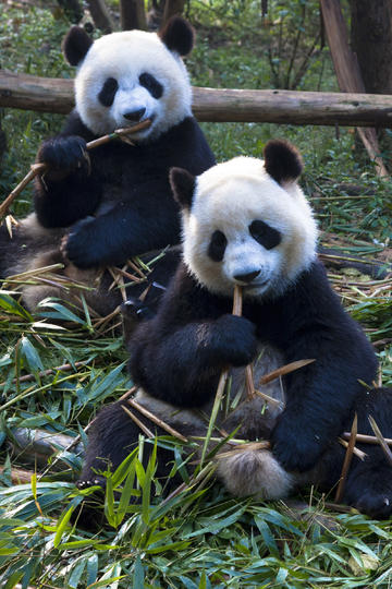 为什么睡醒后总是疲惫